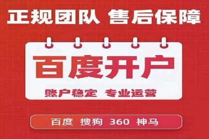 专业SEM托管服务，案例展示精准营销成果